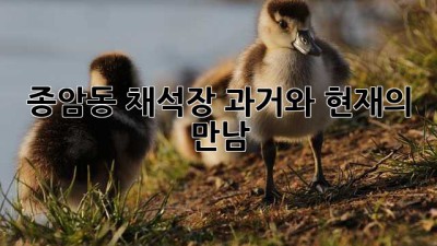 종암동 채석장: 과거와 현재의 만남
